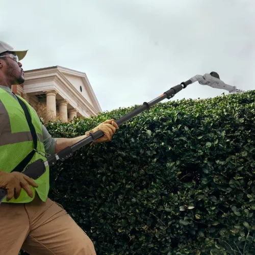 Кусторез штанговый телескопический Greenworks PH662T 82V (51 см) 2301607 бесщеточный аккумуляторный — детальное фото