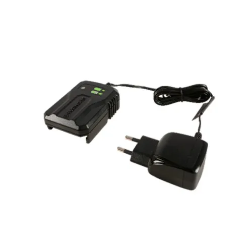 Зарядное устройство-слайдер 2А Greenworks G24UC2 24V 2946207 — детальное фото